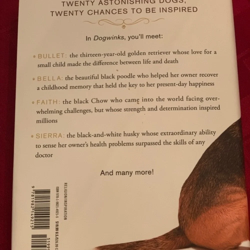 Book Dog winks, excellent condition. - Picture 3 of 3